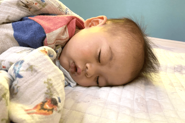 すやすやと寝ている様子